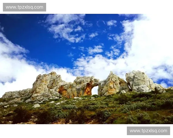 围绕虚灵刀英雄展开的史诗级奇幻冒险世界全景设定深度完整解析全貌